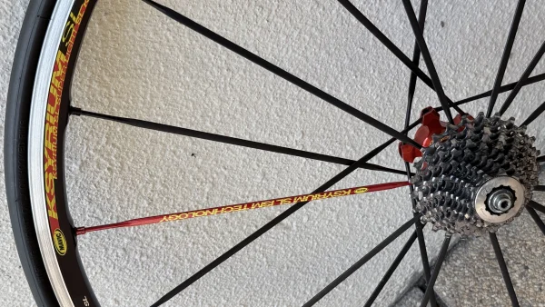 Cervelo S5 — photo 6