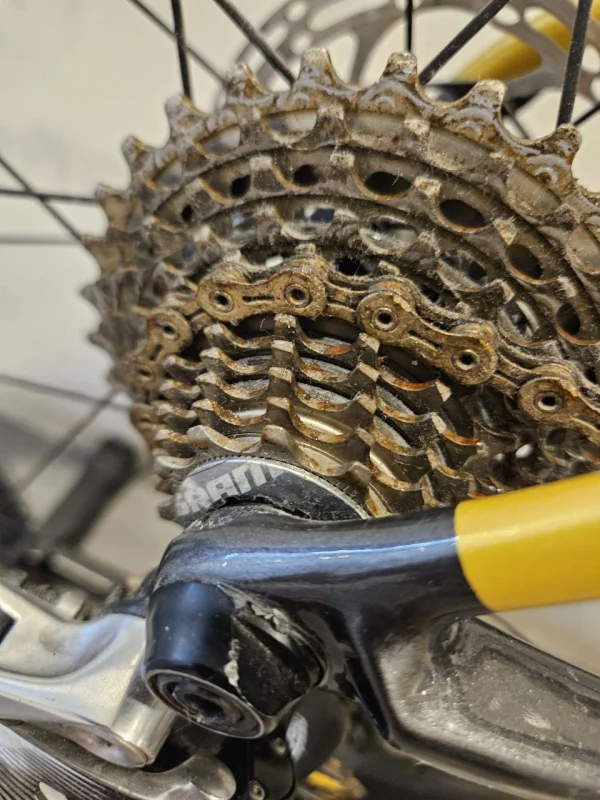 Airbrushed White Gold Cervelo R3 Disc Brake for Sale — photo 6