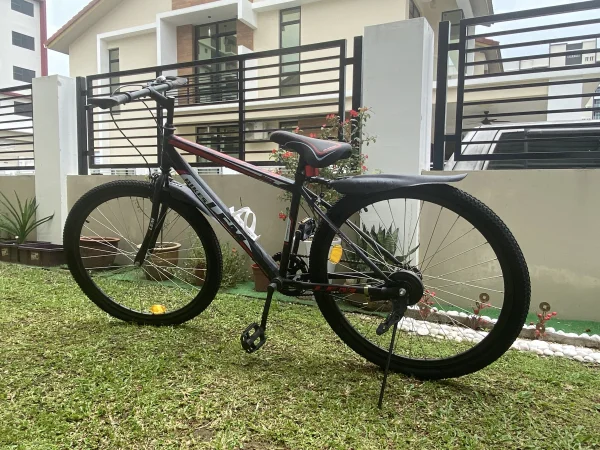 Single Speed Mountain Bike / Basikal Budak & Dewasa (2 Units) — photo 2