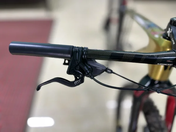 custom bike wts 29er saiz M/L — photo 8