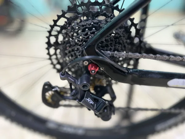custom bike wts 29er saiz M/L — photo 3