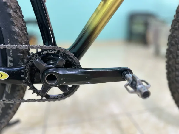 custom bike wts 29er saiz M/L — photo 4