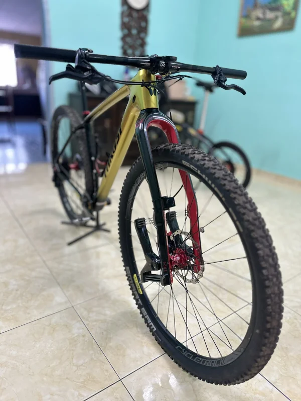 custom bike wts 29er saiz M/L — photo 2