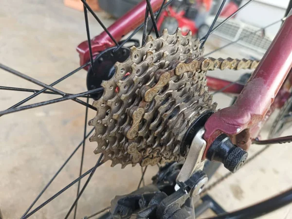 Camp Radon Road Bike - 48 - 2024 — photo 3
