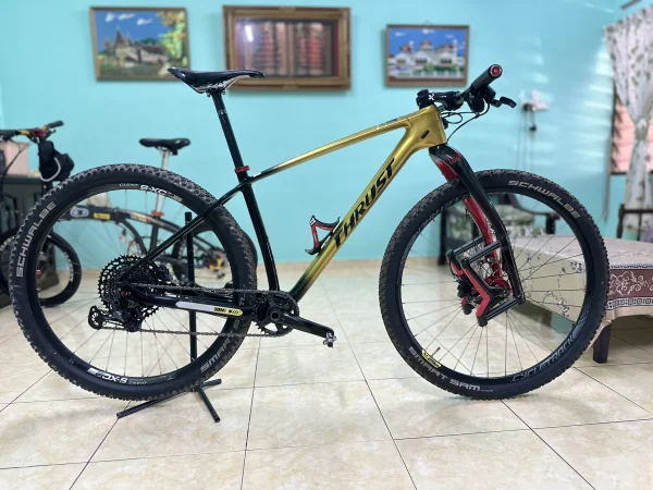 custom bike wts 29er saiz M/L — Used Mountain Bikes (complete) for sale in Melaka, Malaysia