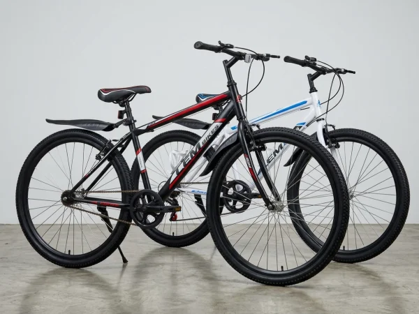 Single Speed Mountain Bike / Basikal Budak & Dewasa (2 Units) — Used Mountain Bikes (complete) for sale in Johor, Malaysia
