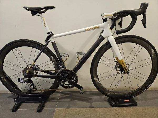 Airbrushed White Gold Cervelo R3 Disc Brake for Sale — photo 3