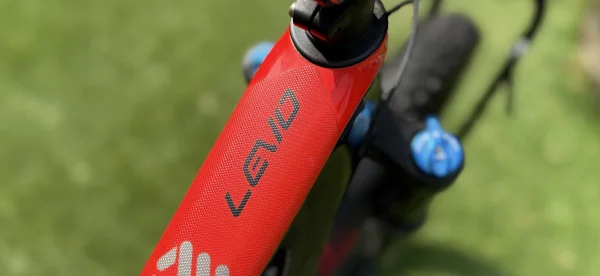 Specialized ebike EMTB Levo 29" — photo 4