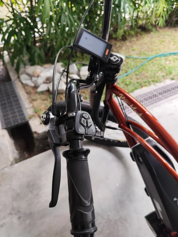 Restomod Electra Cruiser E-bike — photo 5