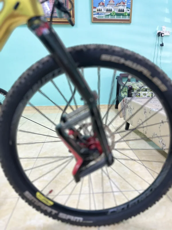 custom bike wts 29er saiz M/L — photo 5
