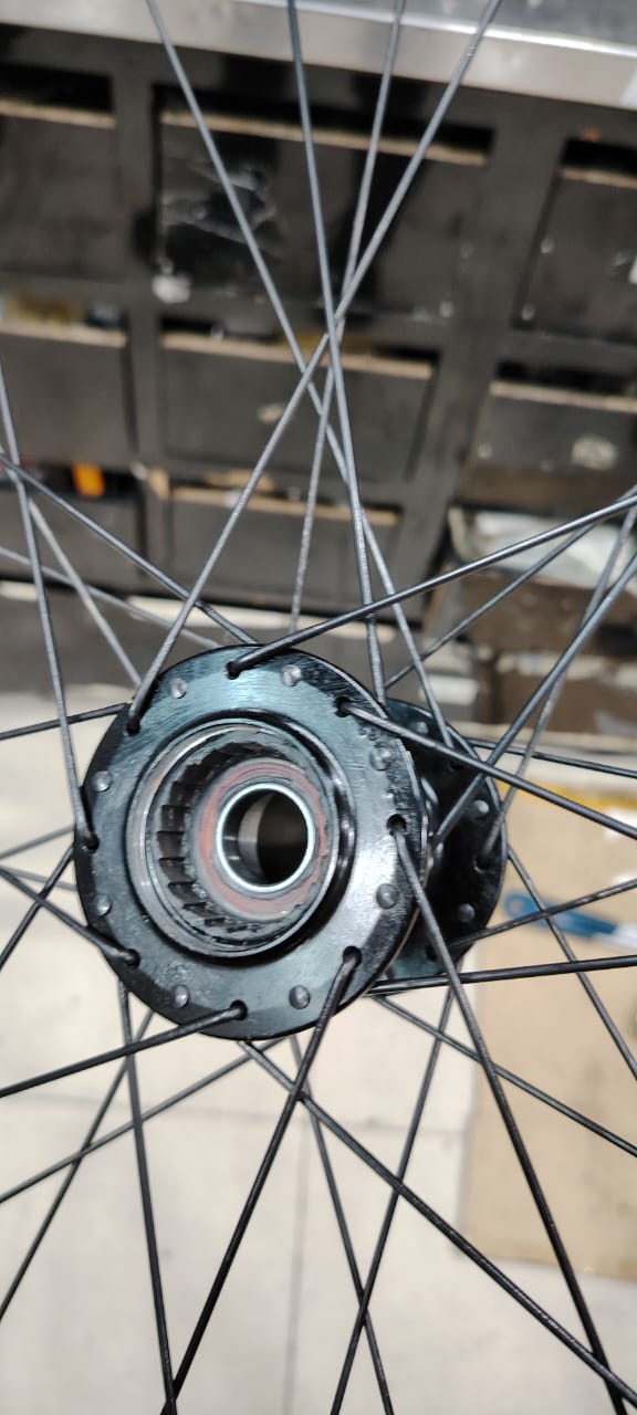 Santa Cruz 5010 C V4