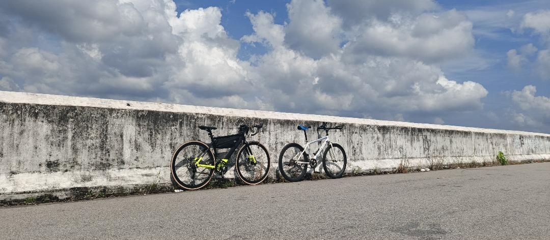 Cronus road bike glossy green/matte black CR700220-BC 48cm bought in 2026 MAY — photo 4