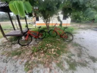 Marin larkspur — used bicycle for sale in Kuala Lumpur, Malaysia