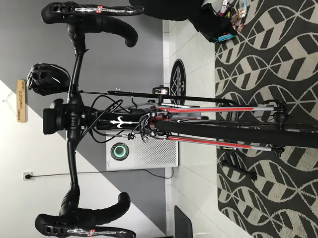 Triestina Wilier saiz 48 — used bicycle for sale in Malaysia
