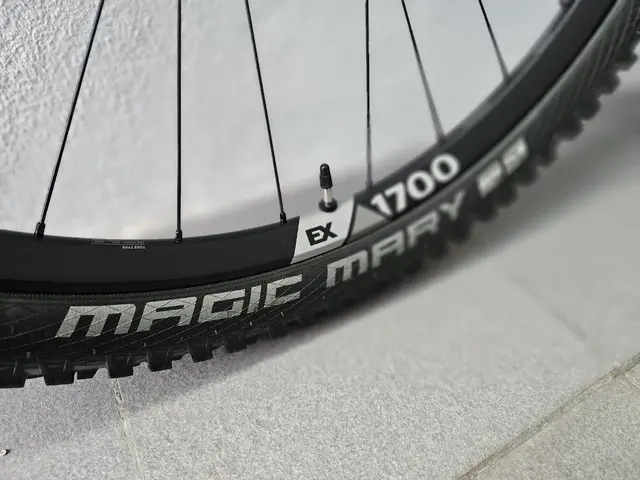 DT SWISS EX1700 29" ENDURO WHEELSET — used bicycle for sale in Selangor, Malaysia