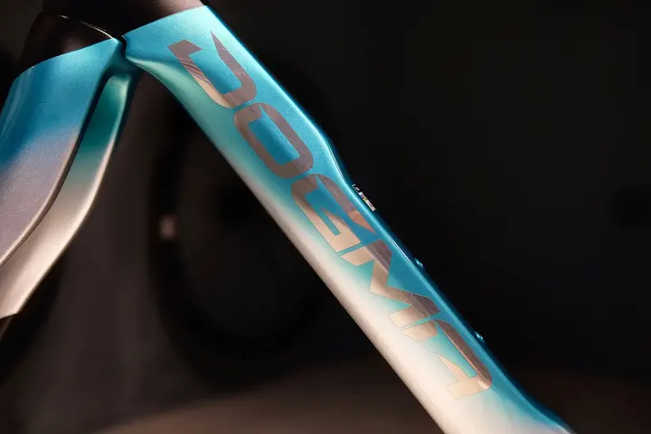 PINARELLO DOGMA F NIBULA GREEN/ SILVER — brand new bicycle for sale in Malaysia