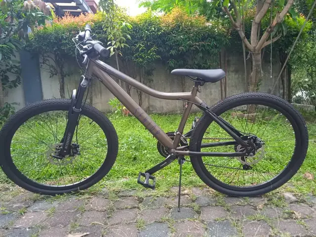 Raleigh Mountain Bicycle — used bicycle for sale in Malaysia