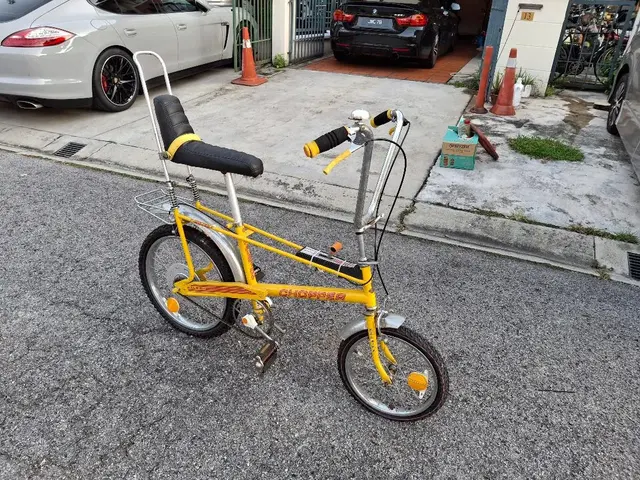 Raleigh chopper classic vintage — used bicycle for sale in Malaysia