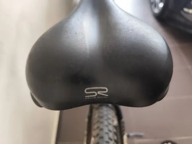 Focus Black Forest 29er MTB — used bicycle for sale in Malaysia