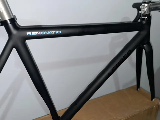 Selling frameset Leader Renovatio — used bicycle for sale in Malaysia