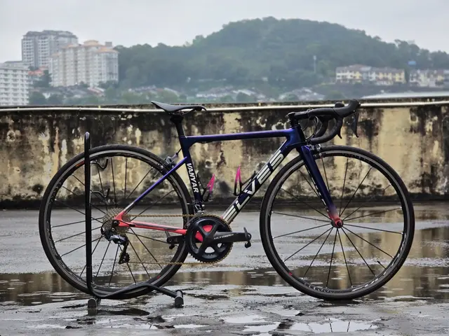 ELVES VANYAR ROADBIKE — used bicycle for sale in Negeri Sembilan, Malaysia