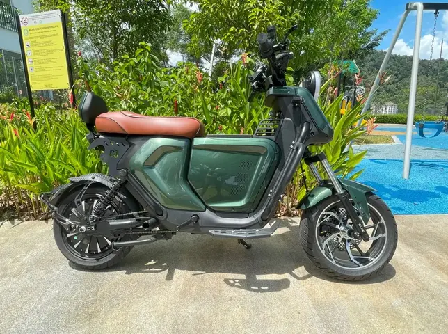 Ev Bike- Very powerful 800W E-motor- Style & performance. — used bicycle for sale in Malaysia