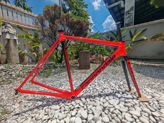 New Caad 12 frame - bought from Japan — brand new bicycle for sale in Selangor, Malaysia