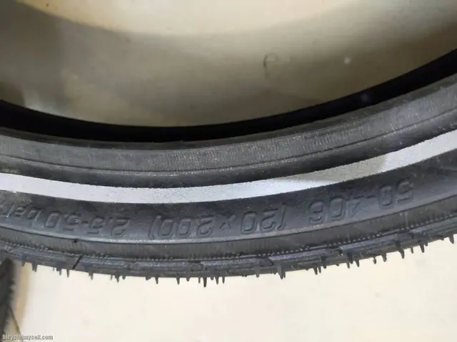 SCHWALBE BIG APPLE 20X2.0 ONE PAIR (2PIECES) USED ONLY ONE SHORT DISTANCE RIDE, JUST LIKE NEW — used bicycle for sale in Pulau Pinang, Malaysia