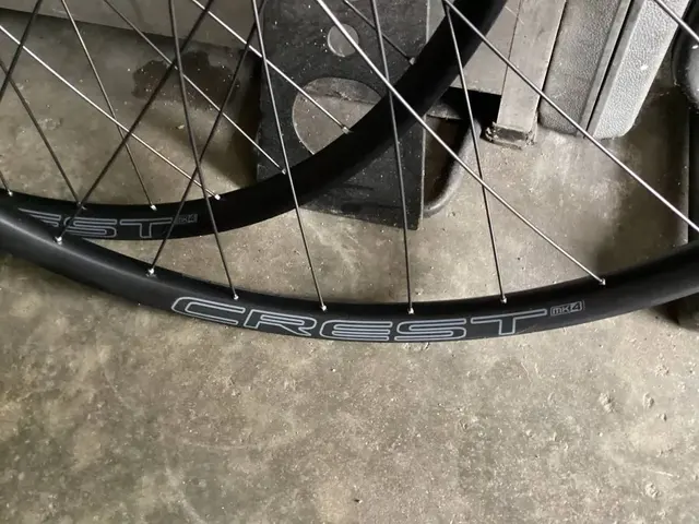 ZTR Crest MK4 29er With Chosen Hub (free pos w.m) — brand new bicycle for sale in Perak, Malaysia