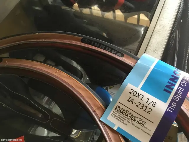 Innovo FoldingBike 451 20in x 1 1/8 SkinWall (free pos w.m) — brand new bicycle for sale in Perak, Malaysia