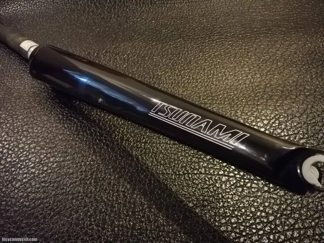 Tsunami Fixed/Road Bike/Touring Bike 700c Carbon Fork — used bicycle for sale in Selangor, Malaysia