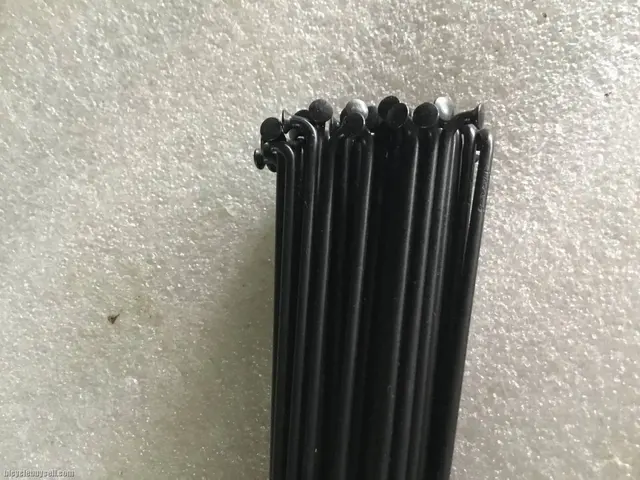 Sapim Leader Strong Spoke 29erx64pcs @ free pos — brand new bicycle for sale in Online Trading Only, Malaysia