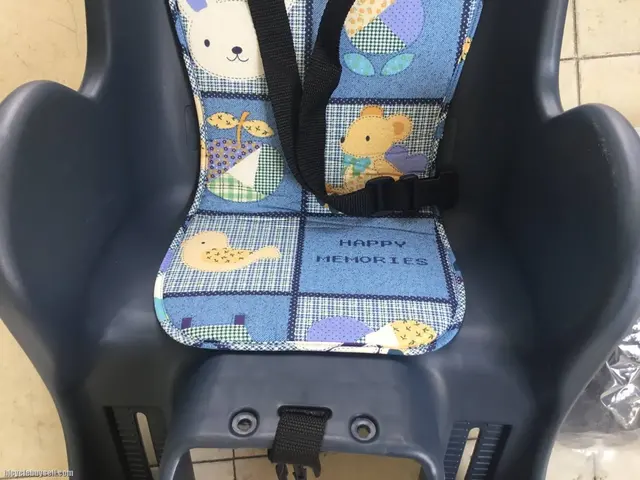 Dragonback Taiwan Child Seat Rear - free courier — brand new bicycle for sale in Online Trading Only, Malaysia