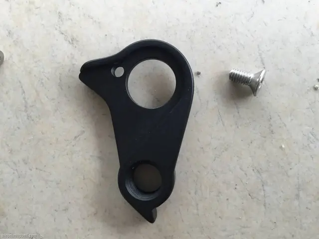 Canyon No.40 Endurance CF SLX Aero Frame Hanger - free courier — brand new bicycle for sale in Online Trading Only, Malaysia