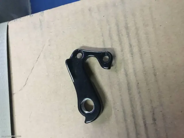 Lapierre Rear Deraileur Hanger Rare (free pos w.m) — brand new bicycle for sale in Perak, Malaysia