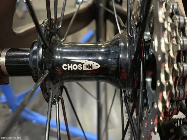CEMA CERAMIC BEARINGS ( MACHINE 11 CARBON WHEELSET WITH CHOOSEN HUB) — brand new bicycle for sale in Terengganu, Malaysia