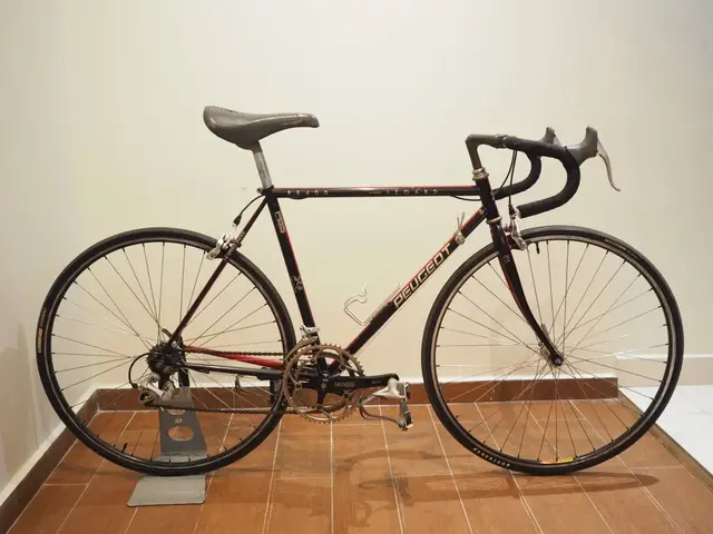 Peugeot Izoard Steel road bike — used bicycle for sale in Selangor, Malaysia