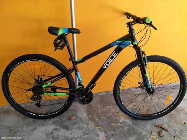 Voice 29er bike last unit clearance 24sp — brand new bicycle for sale in Pulau Pinang, Malaysia