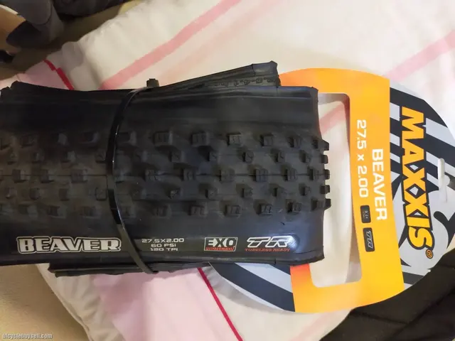 MAXXIS BEAVER 27.5X2.0 WITH EXO AND TUBELESS READY LAST PIECE CLEARANCE — brand new bicycle for sale in Pulau Pinang, Malaysia