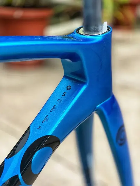 Ceepo Stinger Roadbike Carbon Frameset — brand new bicycle for sale in Selangor, Malaysia