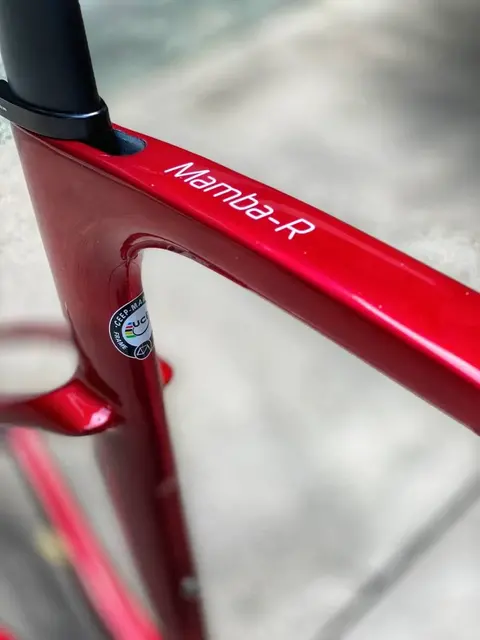 Ceepo Mamba R Roadbike Carbon Frameset — brand new bicycle for sale in Selangor, Malaysia